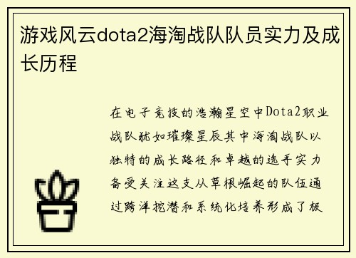 游戏风云dota2海淘战队队员实力及成长历程