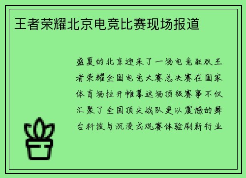 王者荣耀北京电竞比赛现场报道