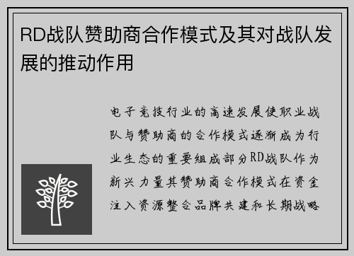 RD战队赞助商合作模式及其对战队发展的推动作用